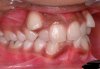 Dentyści mają
