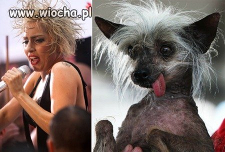 Znajdź 5 różnic 
