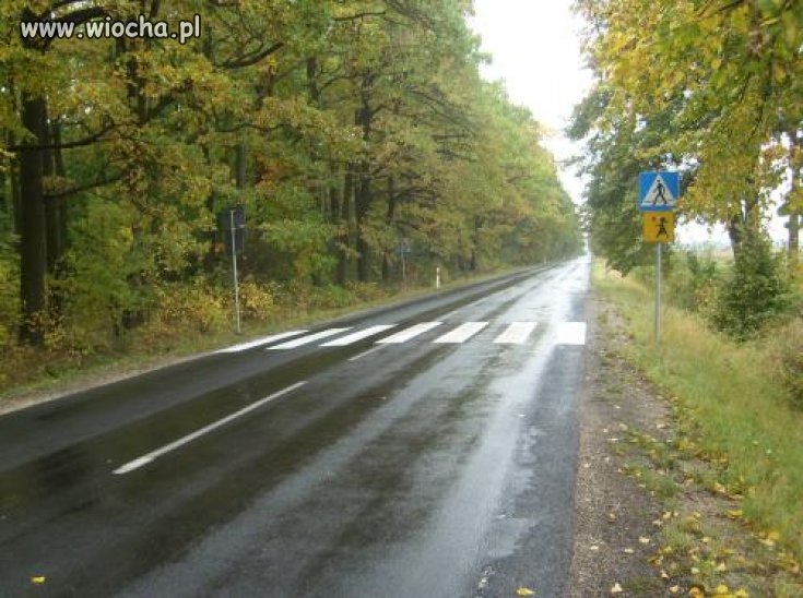 Polscy drogowcy czym jeszcze nas zaskoczą??