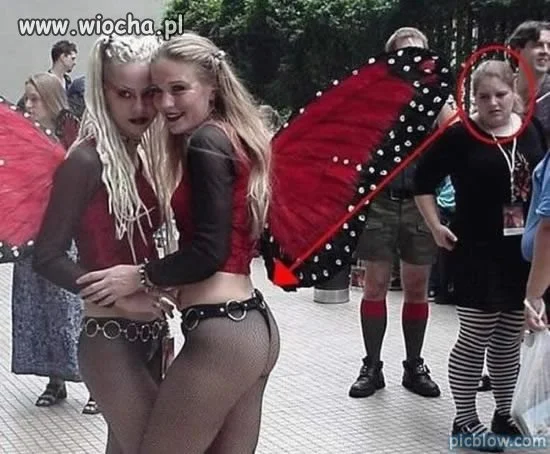 Zazdrość 