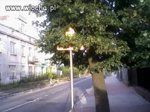 Z dedykacją 