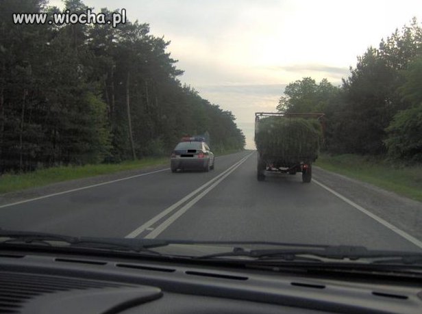Tych panów podwójna ciągła...
