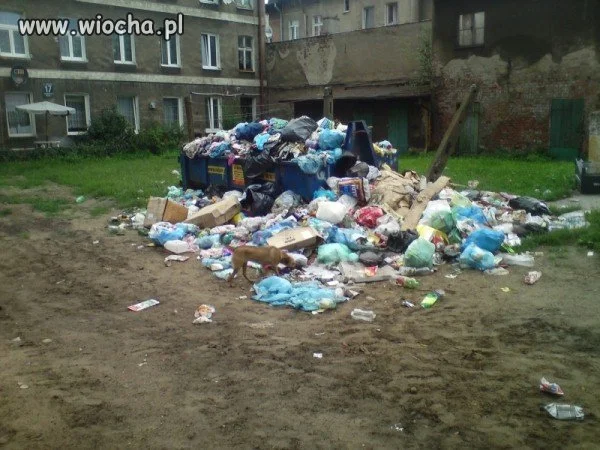 Ja się pytam...