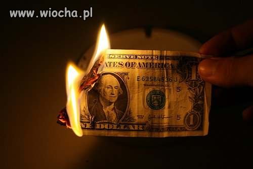 Palić "one dollar" ! wiocha!