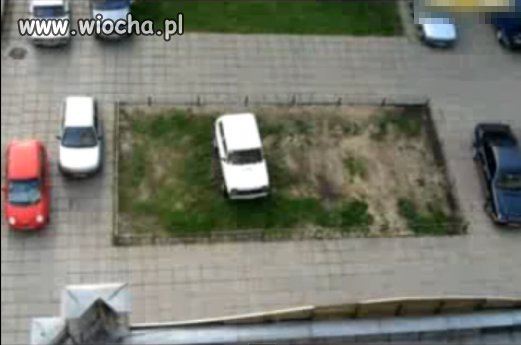 Mistrzostwo parkowania