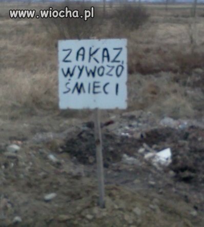 Oto Polska ortografia 