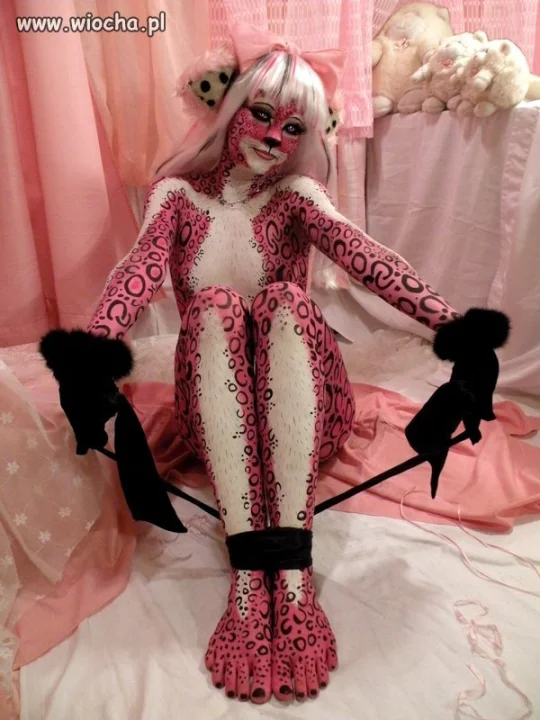 Kitty kitty