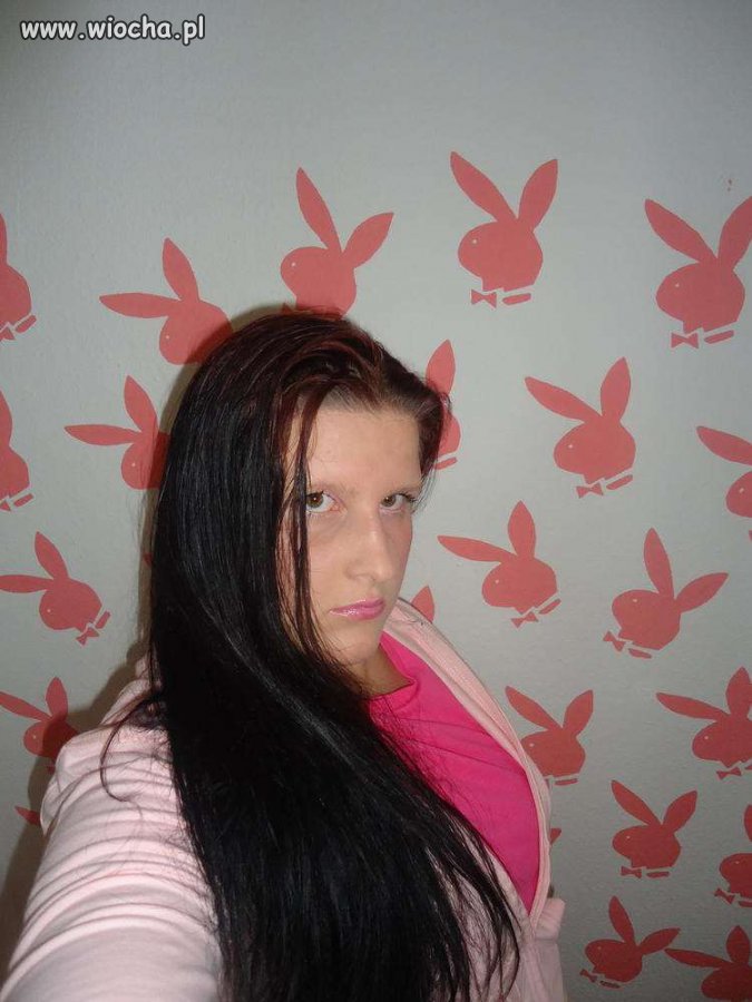Króliczek Playboya 