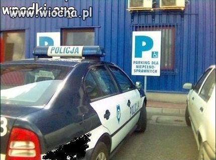 Coś w tym jest...