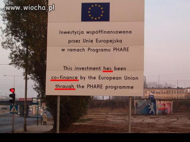 Tłumacz?