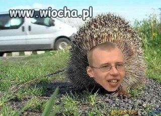 Kolejny mistrz painta...