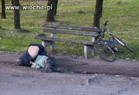 Z picia, aż im d... powykręcało...