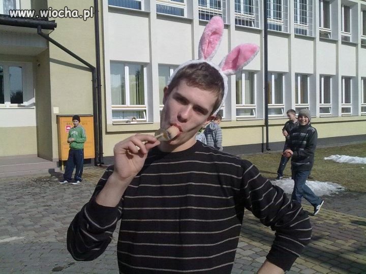 Jestem słodki króliczek Playboya