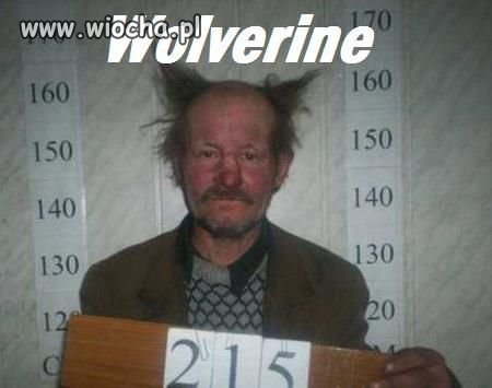 Wolverine