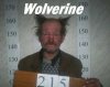 Wolverine