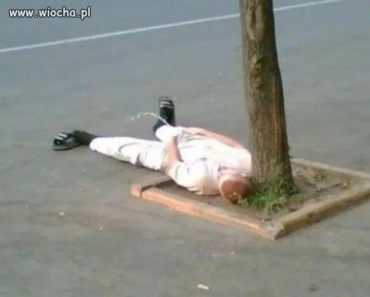 Europejczyk pełną gębą