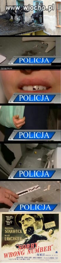 Dzielna Polska policja