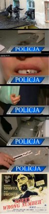 Dzielna Polska policja
