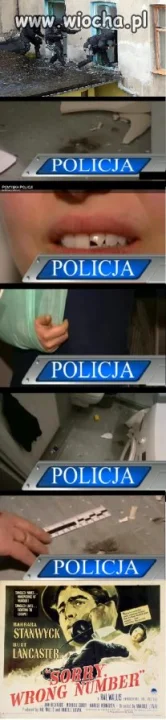 Dzielna Polska policja