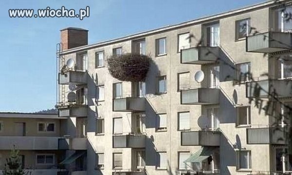 Balkon ekologiczny