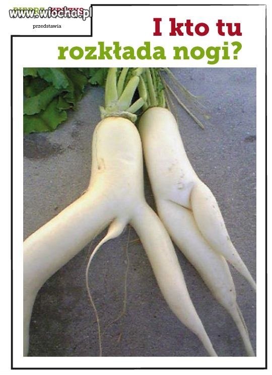I kto tu rozkłada nogi