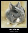 Emo króliczek