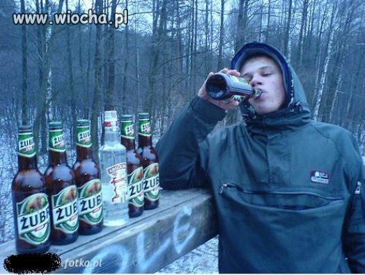Lans na żubry 