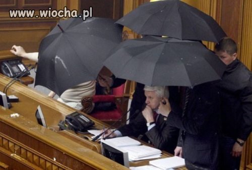 Parasolki