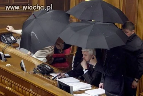 Parasolki