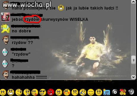 Polska ortografia 