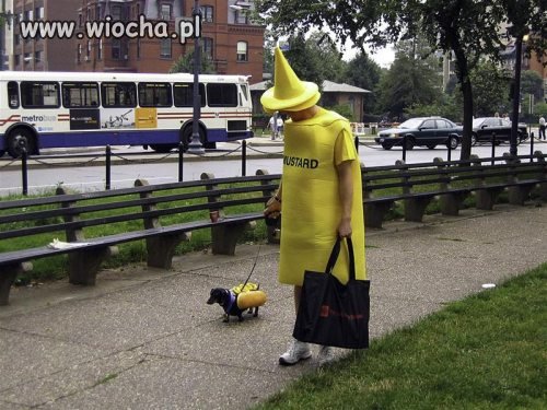 Hot Dog