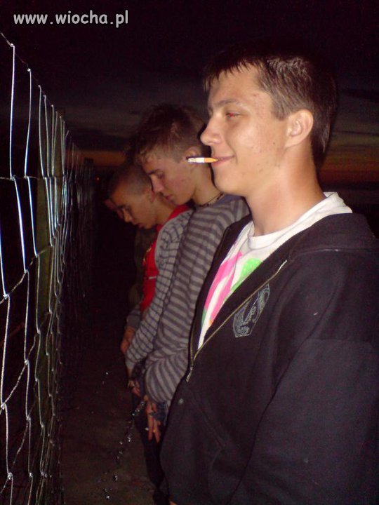 Sikamy