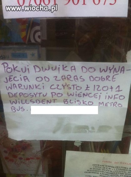 Takie tam ogłoszenie mojego sąsiada