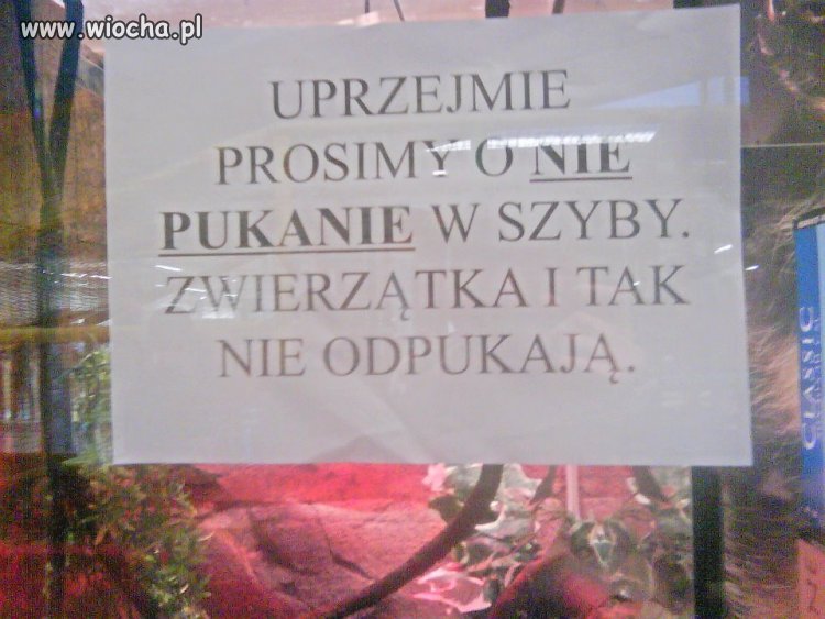 Tylko w POLSCE!!