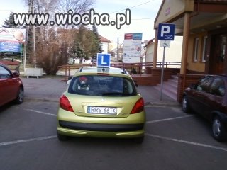 Ja prowadzę szkołę jazdy...