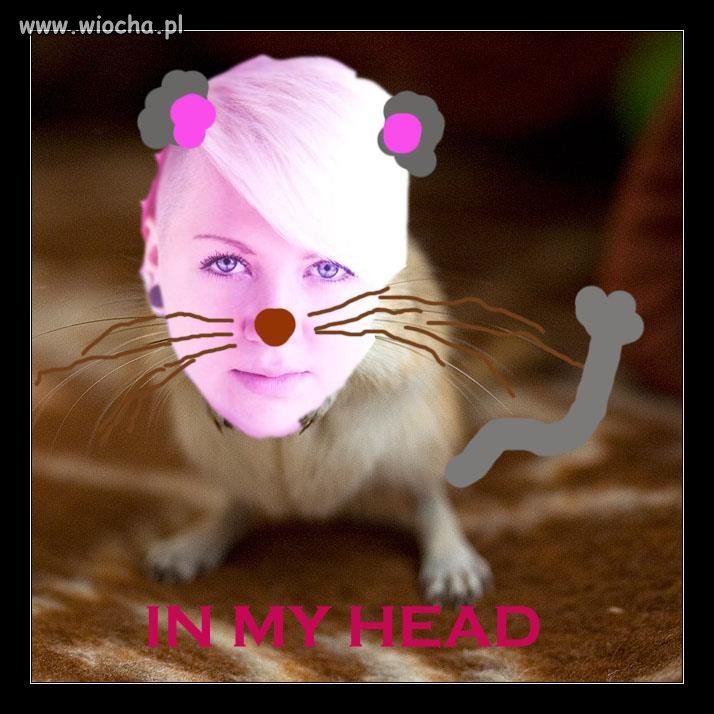 Sami to oceńcie