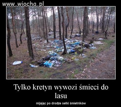 TO SĄ IDIOCI