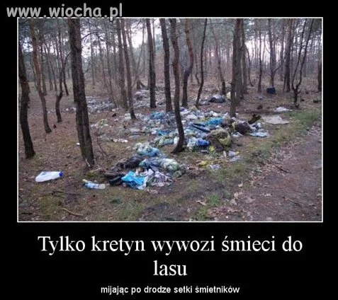 TO SĄ IDIOCI