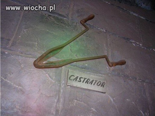 Kiedyś z gwałcicielami