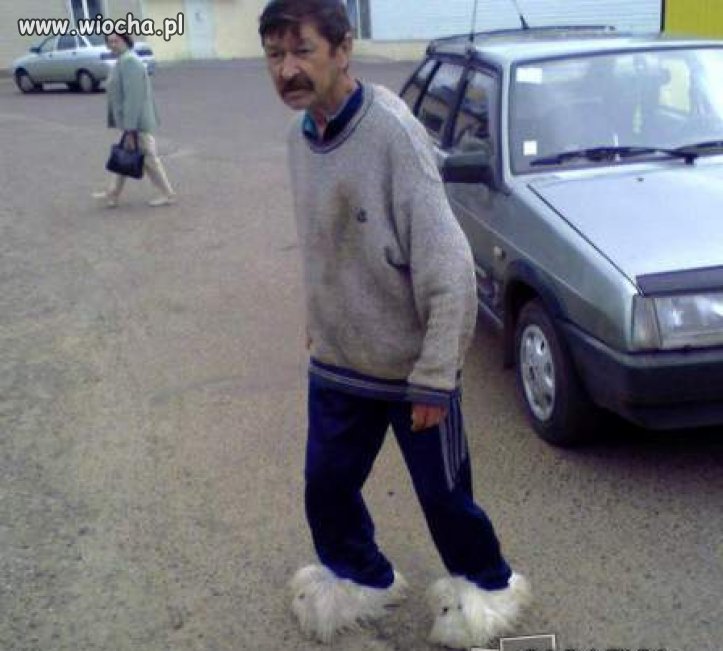 W drodze po wino