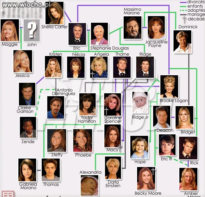 Drzewo genealogiczne Mody na Sukces