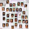 Drzewo genealogiczne Mody na Sukces