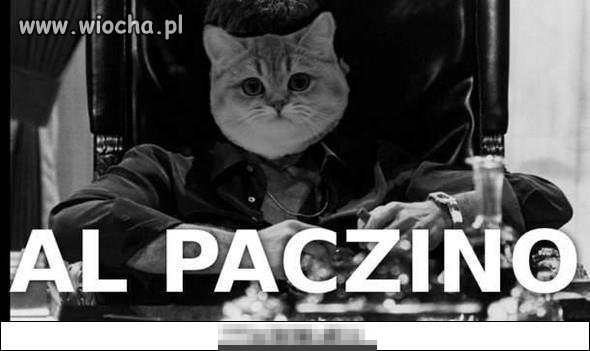 Pacz mi prosto w paczałki