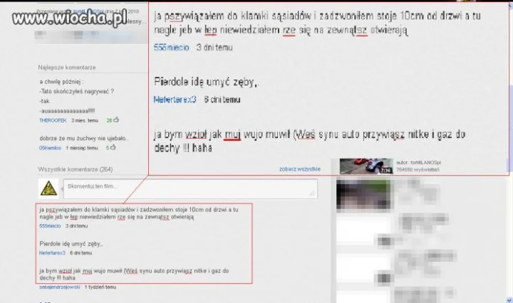 Mistrz ortografii 