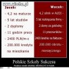 Polskie szkoły sukcesu