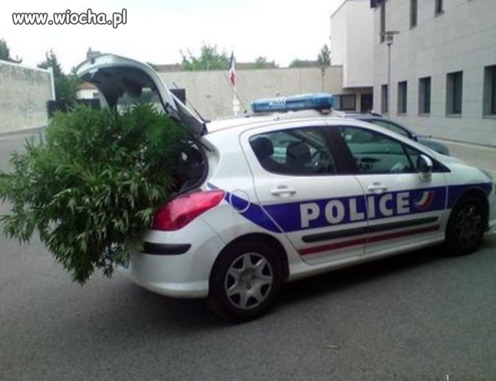 Zawsze to weselej na patrolu.