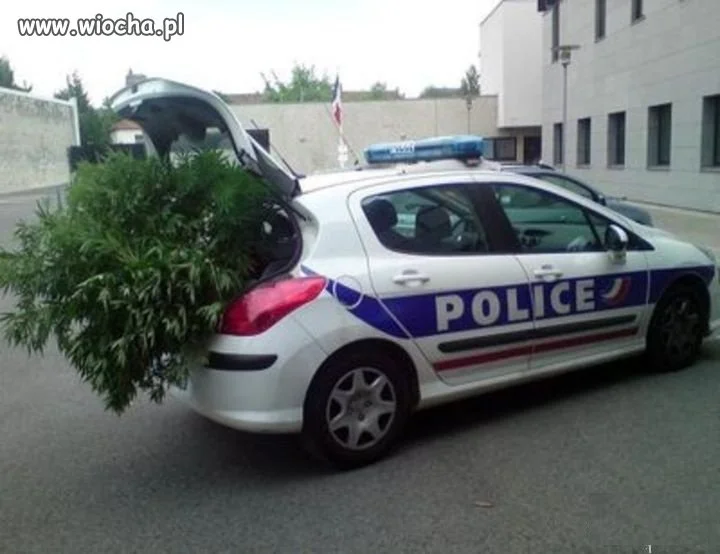 Zawsze to weselej na patrolu.
