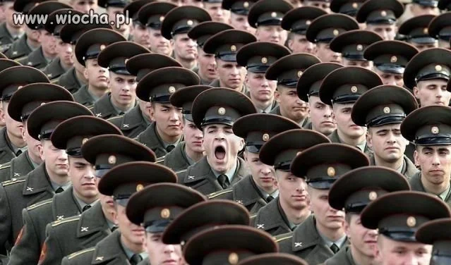 Wyróżnić się