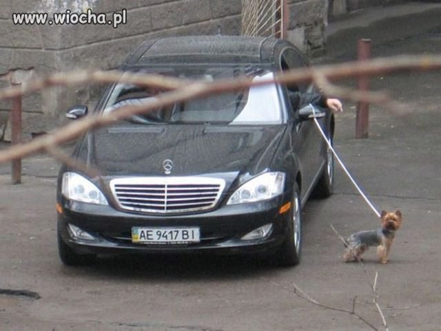 Lenistwo ludzkie nie zna granic