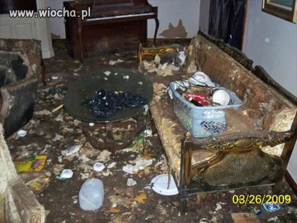 Czujcie się jak...